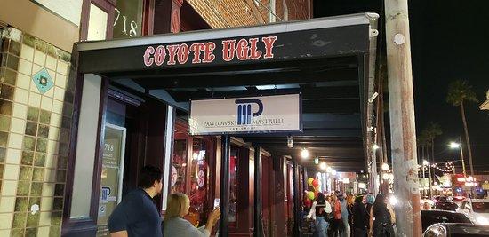 Coyote Ugly Saloon